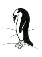 Penguin Socks