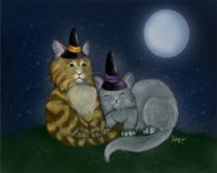 Toil and Trouble