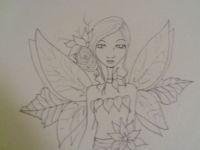 Poinsettia Beauty
