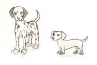 Dogs in clogs