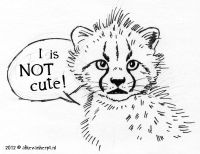 I is NOT cute!