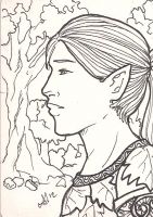 Forest Fae