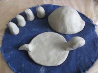 Turtle in Parts