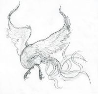 Simurgh