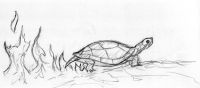 Fire turtle
