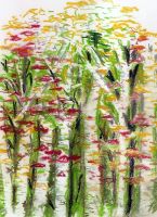 smudge forest