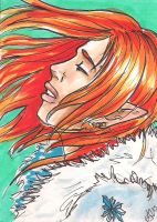 Winter Winds