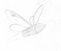 Bullet with Butterfly Wings