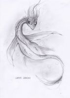 Water dragon