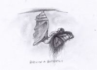 Birth of a butterfly fairy
