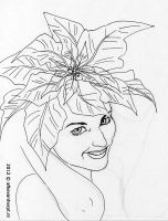 Poinsettia