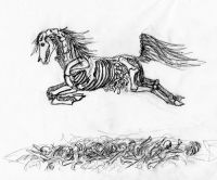 Zombie Horse
