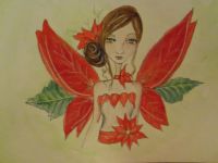 Poinsettia Beauty