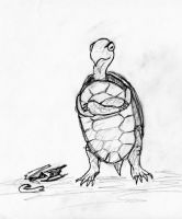 The Turtle Does Not Dance