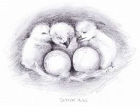 original sketch