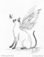 Fairyland Feline