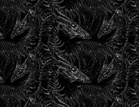 dragons