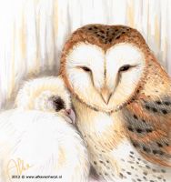 Mama\'s Love