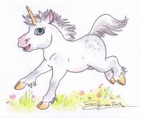 Pygmy Unicorn