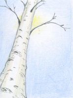 Tree Ecstasy