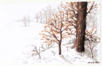 Snowy Landscape