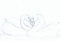 Coeur de Cygnes