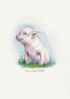 This Little Piggy...
