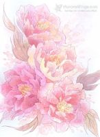 Peony Floral Complete