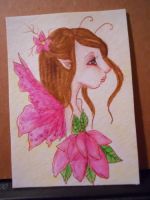 fairy queen