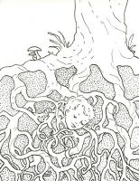 Roots