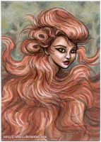 Lots and lots of hair
