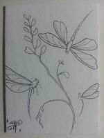Dance of the Dragonflies