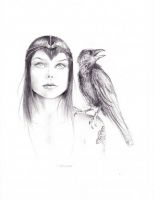 The Morrighan