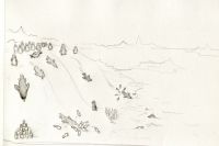 penguins