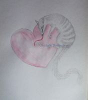 Numbat Love