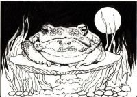 Full Moon Toad