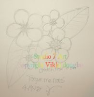 Forget Me Nots