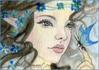 Forget me Nots