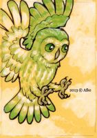 Green-eyed Owl
