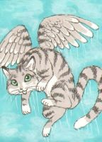 Flying Fur