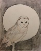 Full Moon Barn Owl