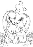 Numbat Love