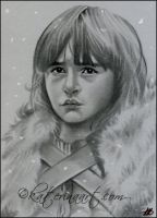 Bran Stark from GAME OF THRONES