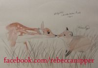 Fox and a Fawn