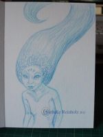 The strange little mermaid