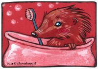There\'s a Hedgehog in the Bathtub!