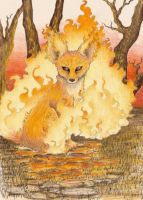 Firefox