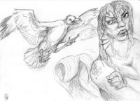 Augmentative Seagull
