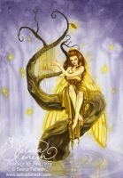 Firefly\'s Song