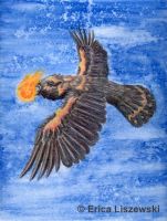 Raven Steals Fire